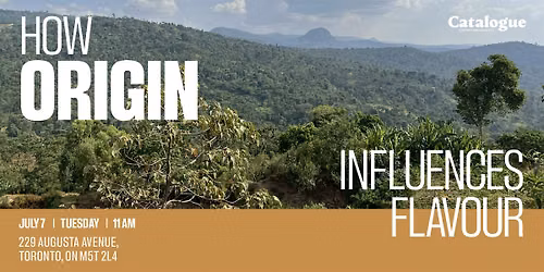 Workshop Series: How Origin Influences Flavour - July 7th