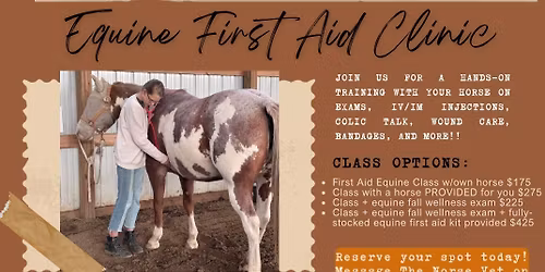 Equine First Aid Clinic 