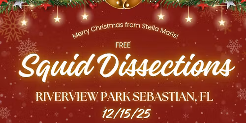 Free Squid Dissections- Merry Christmas! 12\/15\/25