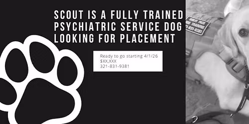 Puppy Training Class
