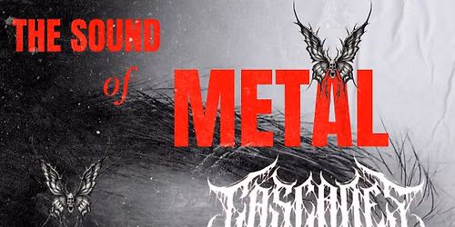 Sound Of Metal