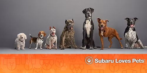 Subaru Loves Pets at Juneau Auto Mall