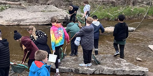 Community Crayfish & Critter Hunt