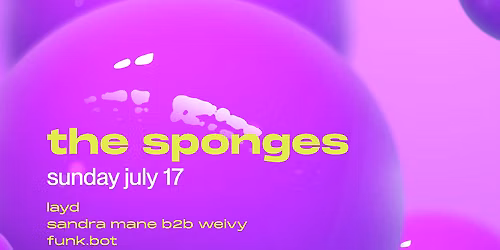 The Sponges at Miramar Theatre