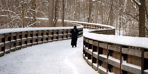 Wildwood Solstice (Adults)