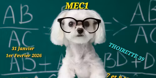 FORMATION MEC1 et mise \u00e0 niveau stage6