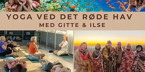 Gratis infom\u00f8de - Yoga Ved Det R\u00f8de Hav