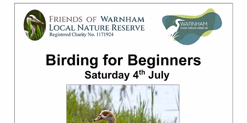 Birding For Beginners