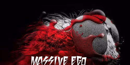 Symphony Of Flies - Album Release