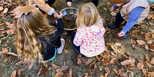 Doodlebug Adventures 8 Week Fall Wellness Season