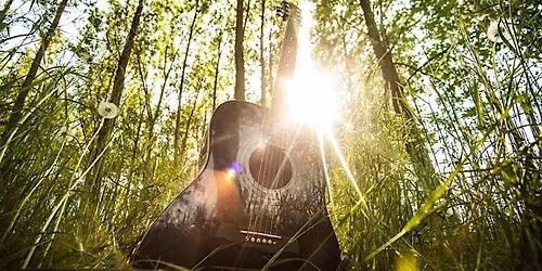 Taylor Swift: Out of the woods - or into them?