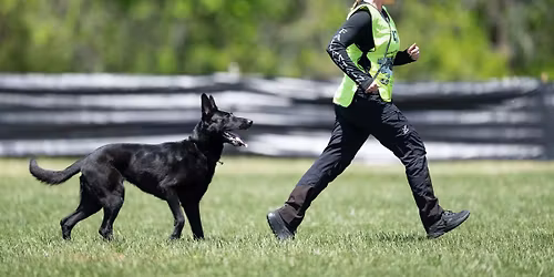 2026 OG St Louis Working Dog Club Spring Trial In Memory of Dyan Harper