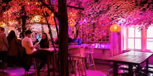 Electric Garden & Hockley Social