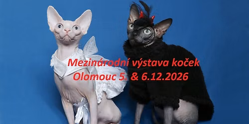 International Cat Show Olomouc \/ Mezin\u00e1rodn\u00ed v\u00fdstava ko\u010dek Olomouc - MIKUL\u00c1\u0160SK\u00c1