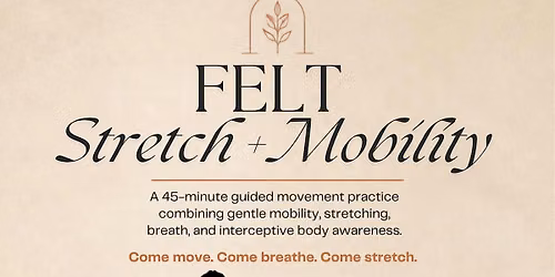 FELT: Strech + Mobility