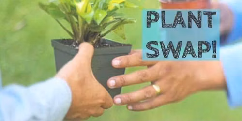 POT SALE 