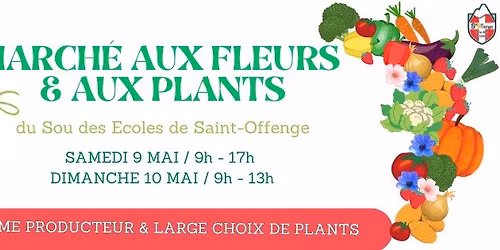 \ud83c\udf38 MARCH\u00c9 AUX FLEURS & AUX PLANTS \ud83c\udf31