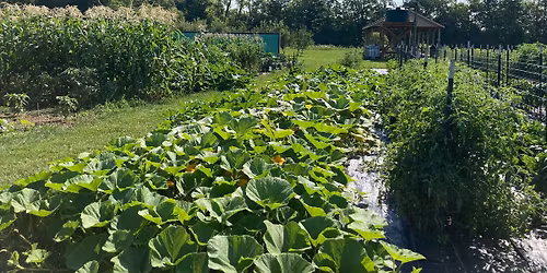 Planting Day at Grace Gardens