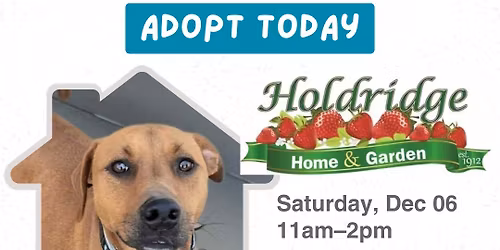 Bring Love Home Adoption event at Holdridge Home & Garden, Ledyard