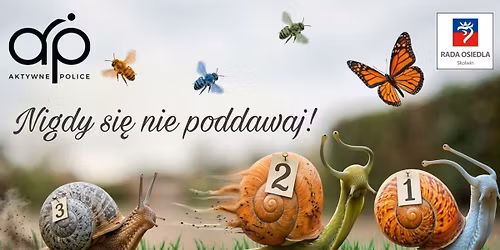 4 Skolwi\u0144ska Mila