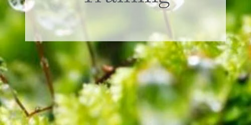 Advanced EFT Practitioner Training - Level 3