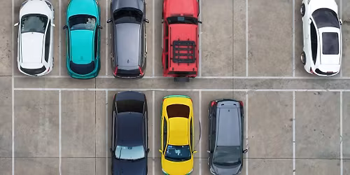 Parking Dogs In A Pile