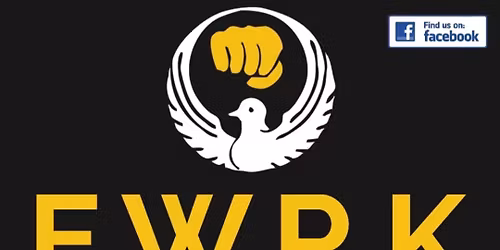 Enrolment into Infants Karate