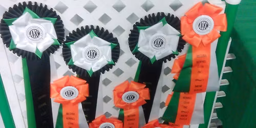 Medina Kennel Club Holiday Obedience Classic