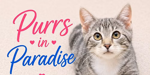 Purrs in Paradise Adoption Event