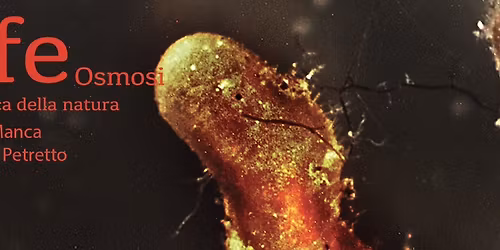 L-ife Osmosi: tecnica della natura