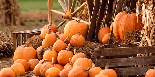 6th Annual Fall Festival