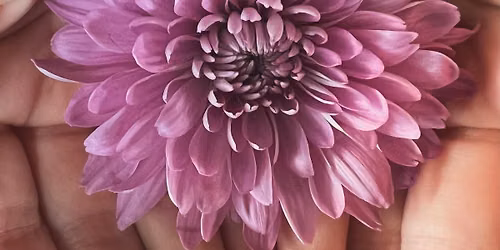 Therapeutic Yoga for Cancer