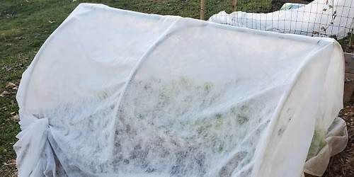 Winter Gardening and Care for Raised Beds