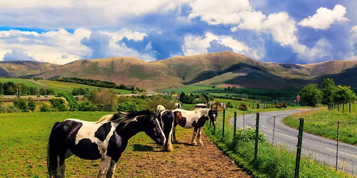 \u041e\u0437\u0435\u0440\u043d\u044b\u0439 \u043a\u0440\u0430\u0439 \u0412\u0415\u0421\u041d\u0410 (\u041f\u043e\u0441\u043b\u0435\u0434\u043d\u0438\u0439 \u0431\u0438\u043b\u0435\u0442)