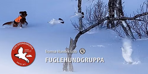 Troms\u00f8pr\u00f8ven Apport 2026