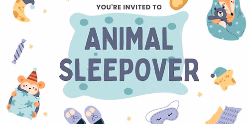 Stuffed Animal Sleepover