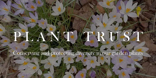 Save the date: End of Year Celebration 2025