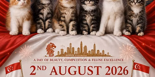 CAT SHOW!