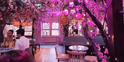 Spring Vibes at the Electric Garden