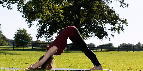 Beginners Yoga for the New You! - Starting January 15th