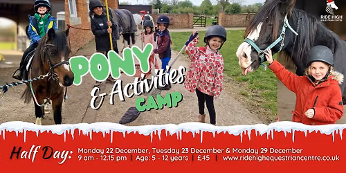 Half Day Pony & Activities Camp