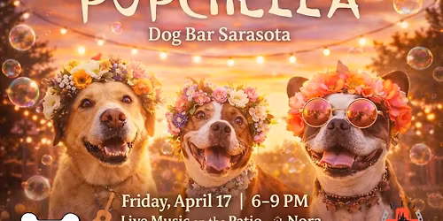Pupchella at Dog Bar Sarasota