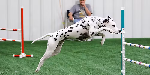 CPE Agility Trial