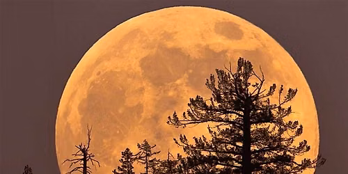 Guided Full Moon Meditation - The Beaver Moon!