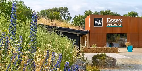 Langdon Spring Bank Holiday Market