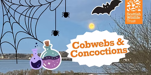 Cobwebs and Concoctions