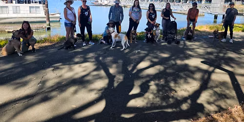 Community Pack Walk: Antioch