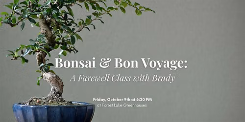 Bonsai & Bon Voyage: A Farewell Class with Brady