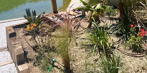 \n\ud83c\udf3f Journ\u00e9e D\u00e9tox \u2013 Sylvoth\u00e9rapie, Yoga Kundalini & Bain sonore _ L'Etang des cigales Uchaux 