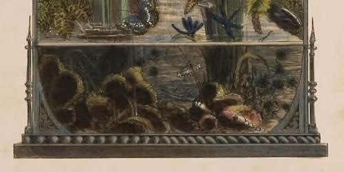 Beltane Biophilia Night Market